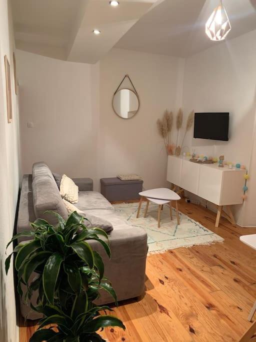 Le Petit Cocon Nimois Nîmes Exterior foto
